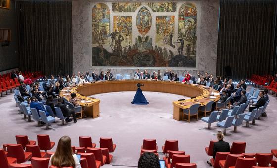 Security Council lifts arms embargo on Central African Republic forces